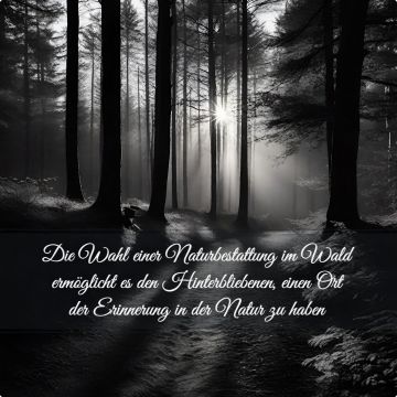 Naturbestattung im Wald immer beliebter