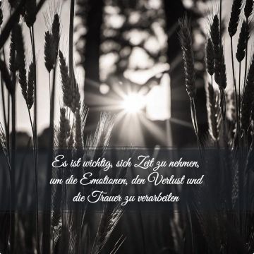 wichtige Formalitaeten nach Todesfall